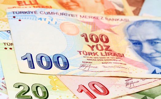 Турецкая лира упала до рекордного минимума после выборов в стране