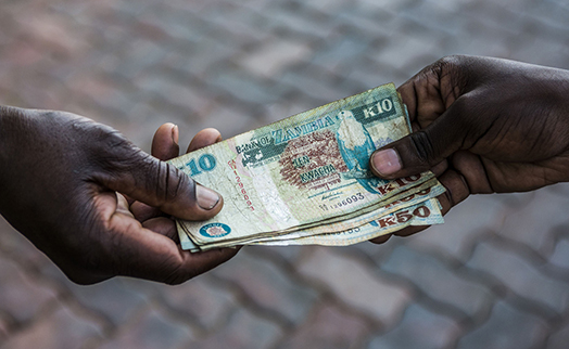 Самой выгодной валютой с начала года стала замбийская квача