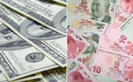 Курс турецкой лиры к доллару США третий день подряд начинает с падения