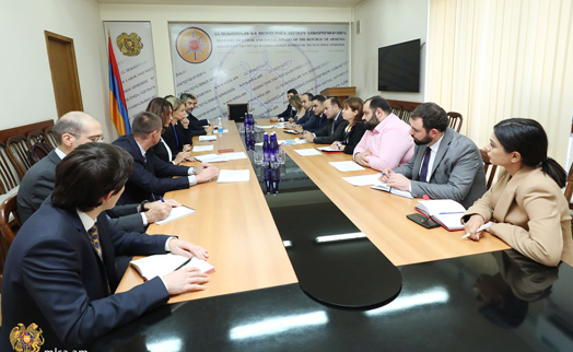 Armenian Minister of Labor and Social Affairs discusses new cooperation formats with WB